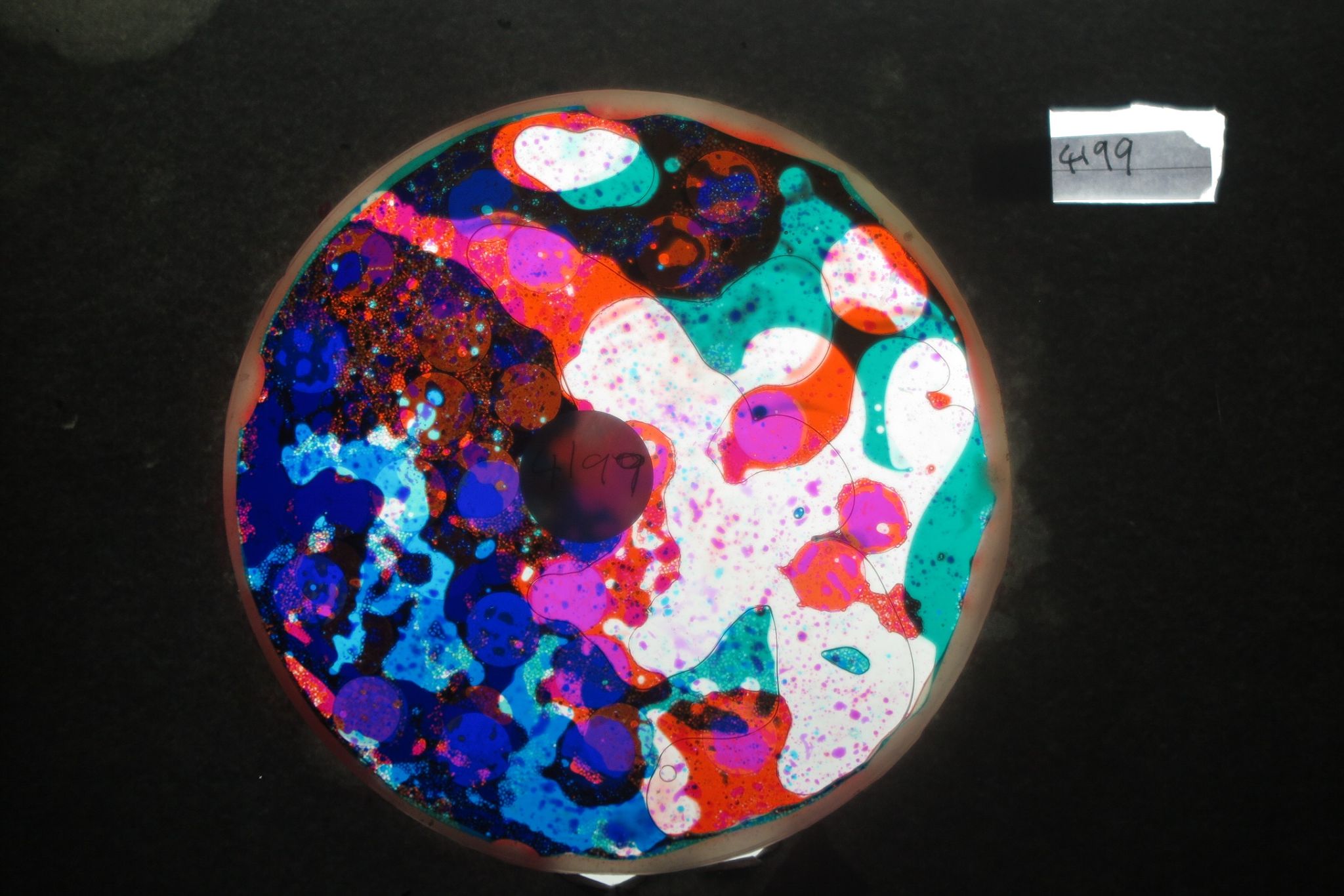 BV4199 bubble vision oil wheel